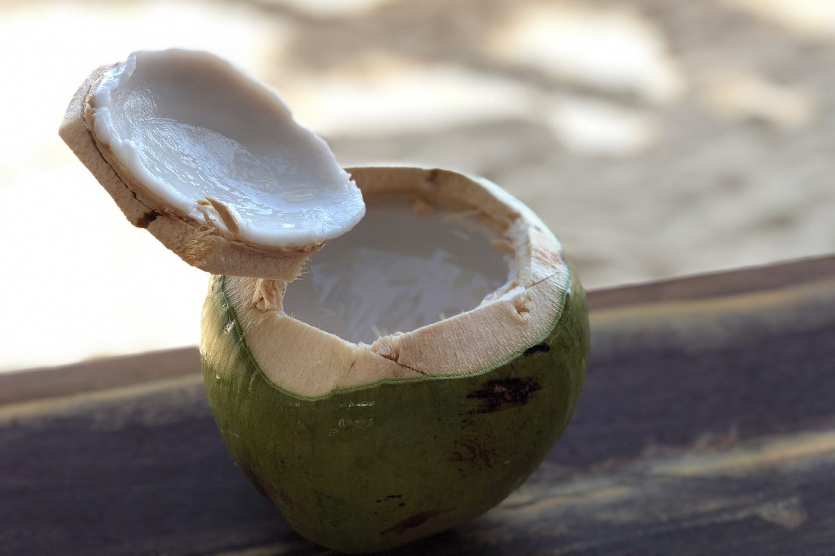 Coconut