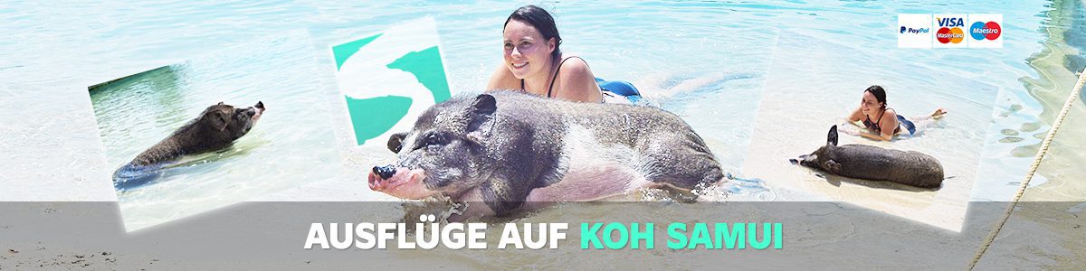 Touren auf Koh Samui