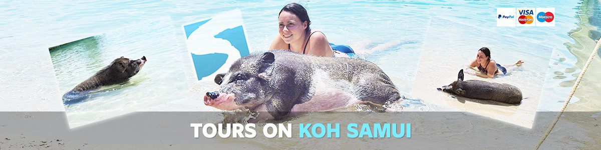 Tours on Koh Samui Tours on Koh Samui