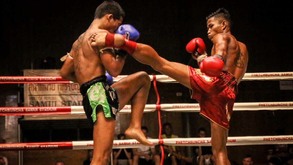 Is CBD really a miracle cure for martial artists?