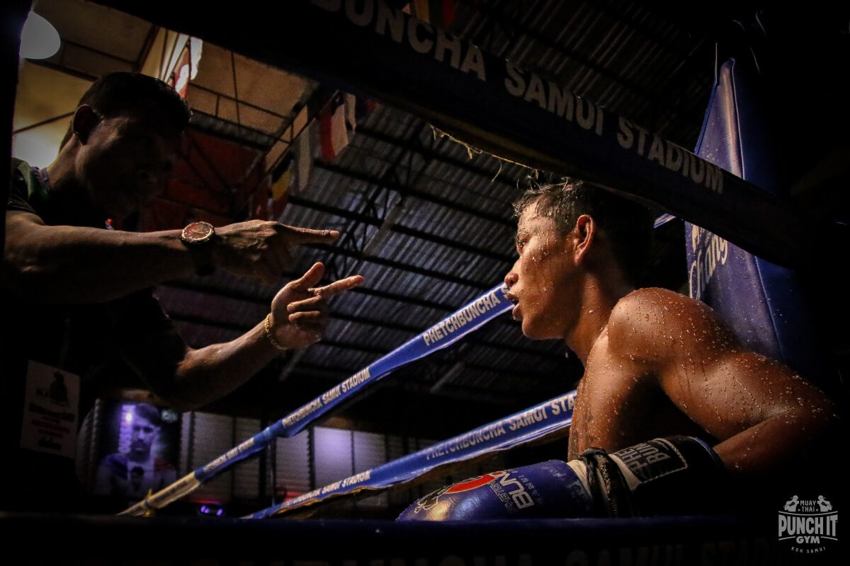 Is Muay Thai Endangered