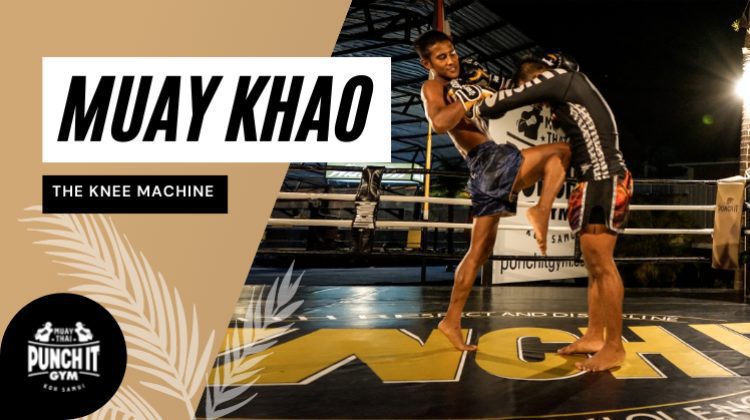 Muay Khao - the knee machine Muay Khao - the knee machine