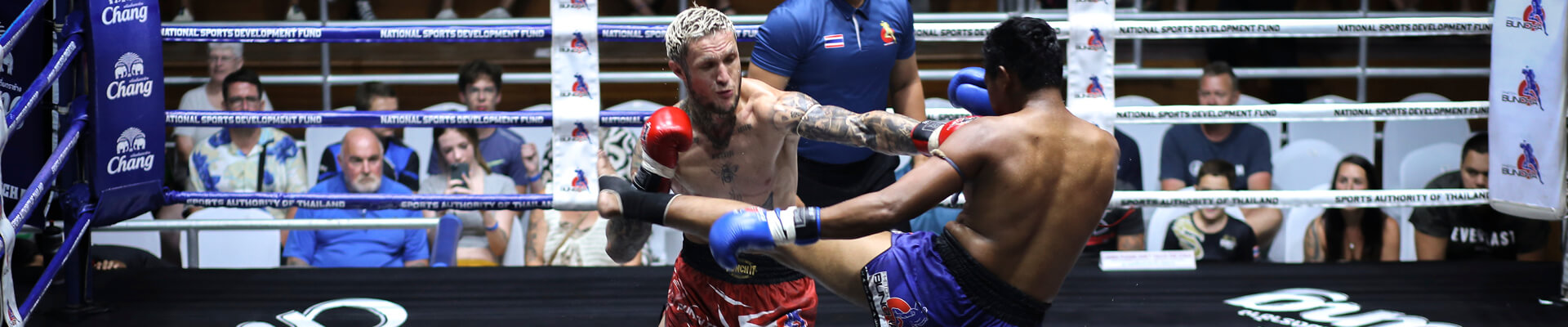 Whats is going on at Muay Thai Gym Punchit Whats is going on at Muay Thai Gym Punchit