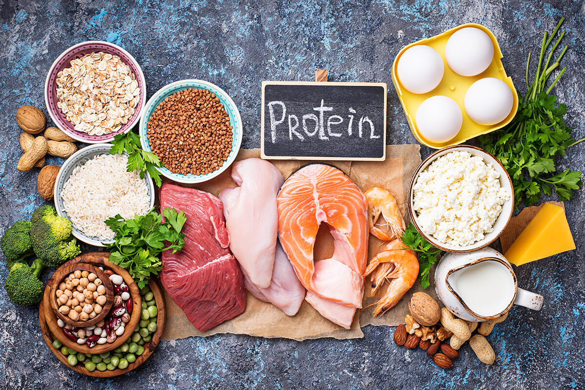Proteins Building and Repairing Muscles
