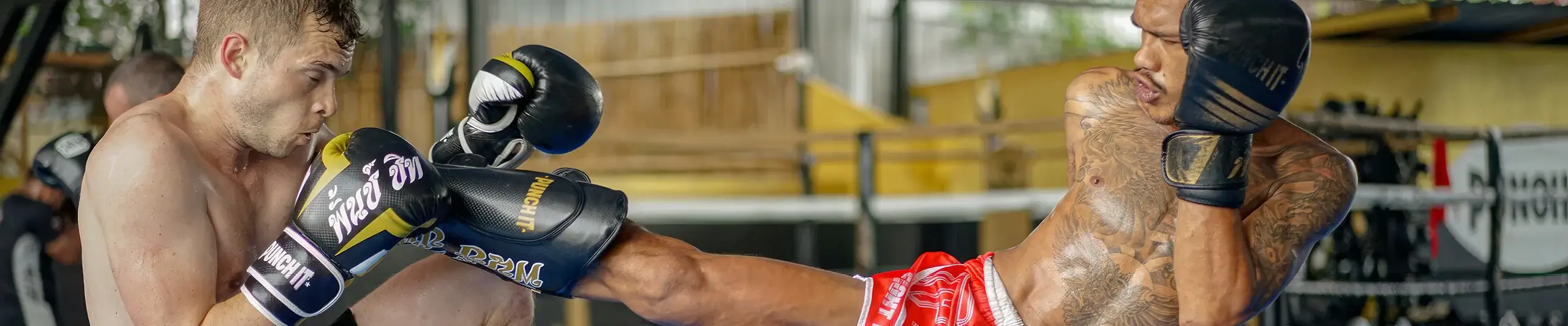 Book Your Private Muay Thai Lessons